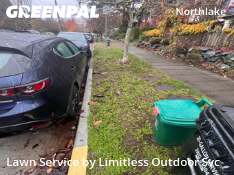 Grass Cut nearby Seattle, WA, 