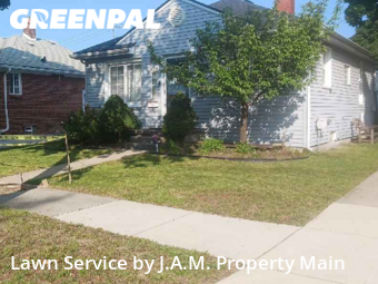 Grass Cut nearby Lincoln Park, MI, 