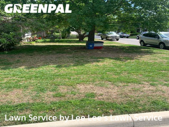 Grass Cut nearby Fort Worth, TX, 