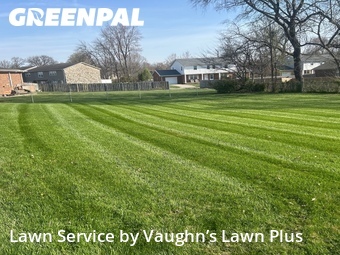 Yard Mowing nearby Evansville, IN, 