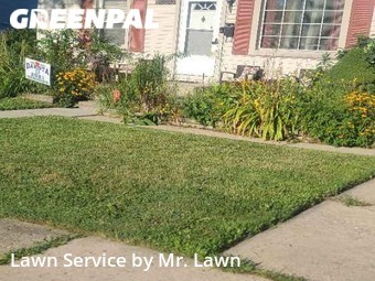 Yard Mowing nearby Roseville, MI, 