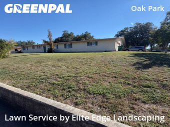 Lawn Service nearby San Antonio, TX, 