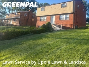 Grass Cutting nearby Bethel Park, PA, 