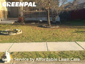 Yard Cutting nearby Cibolo, TX, 