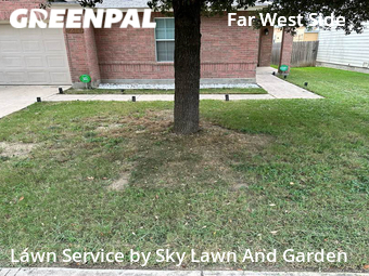 Lawn Cut nearby San Antonio, TX, 
