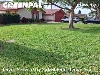 Landscaping Renovation In Coral Springs,33065,Landscaping Installation by Sabal Palm Lawn Srv., work completed in Jan , 2026