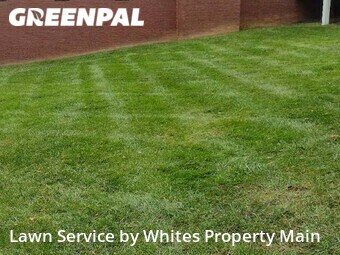 Lawn Maintenance nearby Knoxville, TN, 