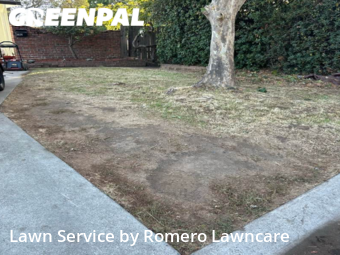 Grass Cut nearby Sacramento, CA, 