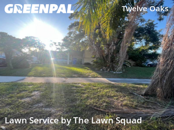 Lawn Service nearby Tampa, FL, 