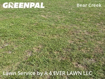 Grass Cut nearby New Port Richey, FL, 