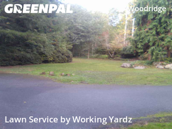 Landscaping Maintenance In Bellevue,98005,Landscaping Services by Working Yardz, work completed in Nov , 2025