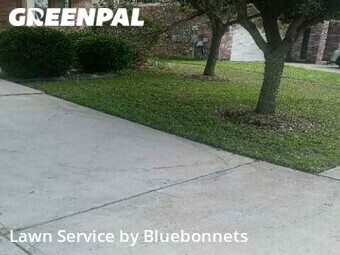 Lawn Cutting nearby Round Rock, TX, 