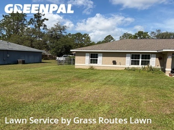 Lawn Mow nearby Ocala, FL, 
