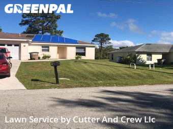 Grass Cut nearby Lehigh Acres, FL, 