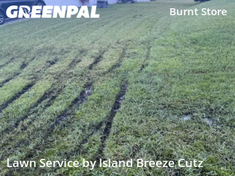 Lawn Maintenance nearby Cape Coral, FL, 