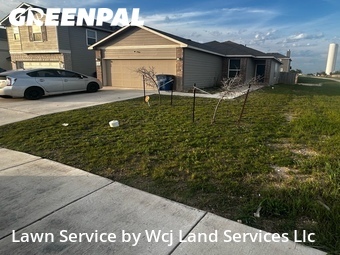 Grass Cut nearby New Braunfels, TX, 
