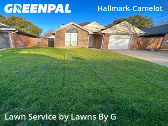 Grass Cut nearby Fort Worth, TX, 