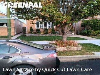 Lawn Care nearby Chicago, IL, 