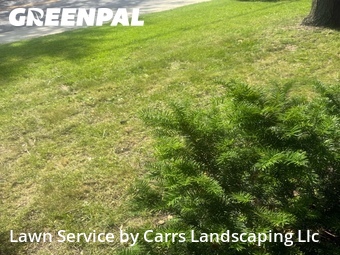 Lawn Mowing Service nearby Mishawaka, IN, 