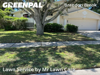 Grass Cut nearby Valrico, FL, 