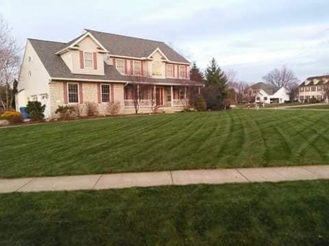 affordable-grass-cutting-businesses-in-Elyria-OH