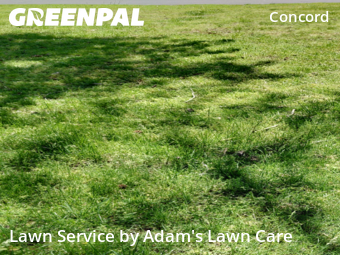 Lawn Care nearby St. Louis, MO, 
