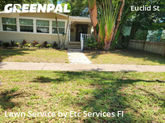 Yard Mowing nearby St. Petersburg, FL, 