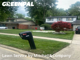 Yard Cutting nearby Southfield, MI, 