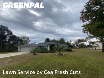 Yard Upkeep in Ocala, 34476, Backyard Mowing by Cea Fresh Cuts, work completed in Dec , 2025