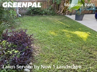 Grass Cutting nearby Houston, TX, 