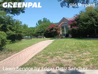 Lawn Cut nearby Plano, TX, 