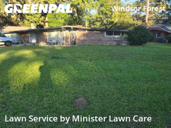 Yard Work in Savannah, 31419, Backyard Mowing by Minister Lawn Care, work completed in Nov , 2025