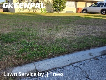 Lawn Mow nearby Clearwater, FL, 