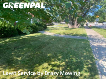 Lawn Maintenance in Wayne, 48184, Lawn Services by Brazy's Mowing Llc, work completed in Nov , 2025