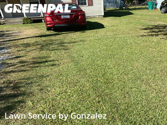 Lawn Cutting nearby Selma, NC, 