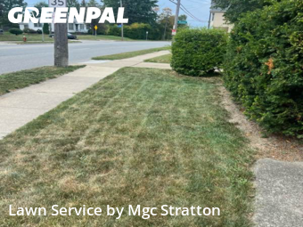 Work completed by grass-cutting-businesses-in-Lakewood-CA