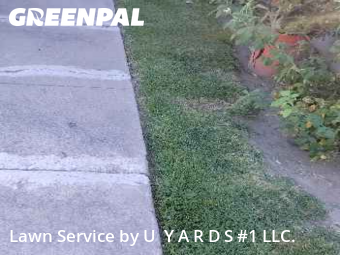 Lawn Mow nearby Riverbank, CA, 