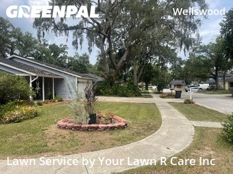 Yard Cutting nearby Lutz, FL, 