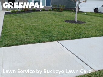 Lawn Care nearby Grove City, OH, 