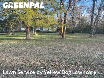 Lawn Service nearby Rural Hill, TN, 