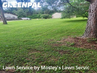 Lawn Cut nearby Clarksville, TN, 