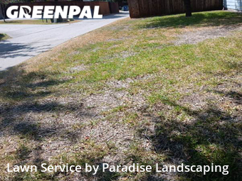 Grass Cut nearby Mc Kinney, TX, 