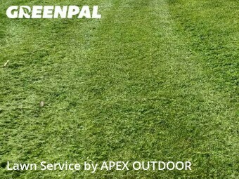 Lawn Service nearby Battle Creek, MI, 