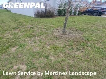 Grass Cut nearby Mascotte, FL, 