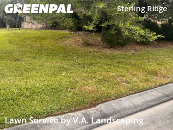 Lawn Carein The Woodlands,77354,Lawn Cut by V.A. Landscaping, work completed in Dec , 2025