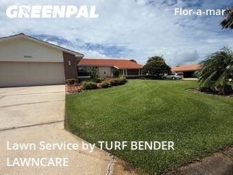 Grass Cutting nearby New Port Richey, FL, 