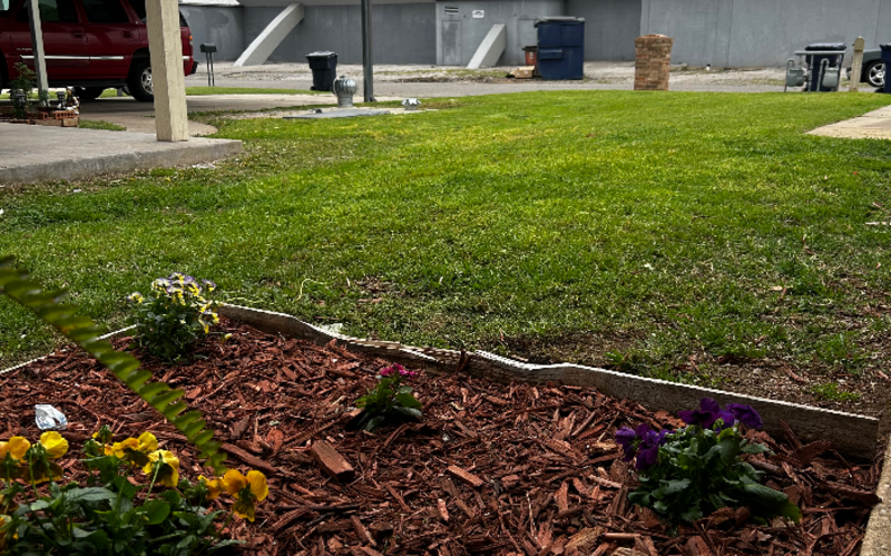 Work Image 1