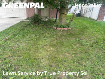 Lawn Cut nearby Indianapolis, IN, 