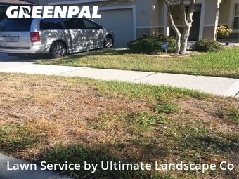 Lawn Mow nearby Ruskin, FL, 