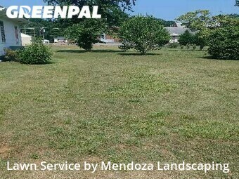 Grass Cut nearby Greensboro, NC, 